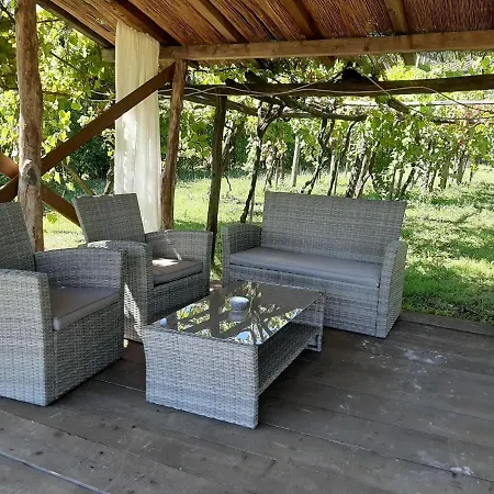 Bettina Holiday home Lucca